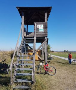 Radfahren um den Neusiedlersee - Podersdorf - Burgenland